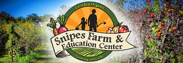Snipes Farm Day Camp