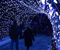 Lehigh Valley Zoo Winter Light Display