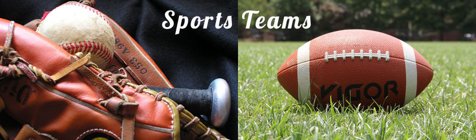 Sports teams, football, baseball, hockey, minor league teams in the Hunterdon County, NJ area
