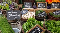 Farmers Markets Dates Events